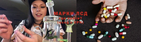 apvp Алексин